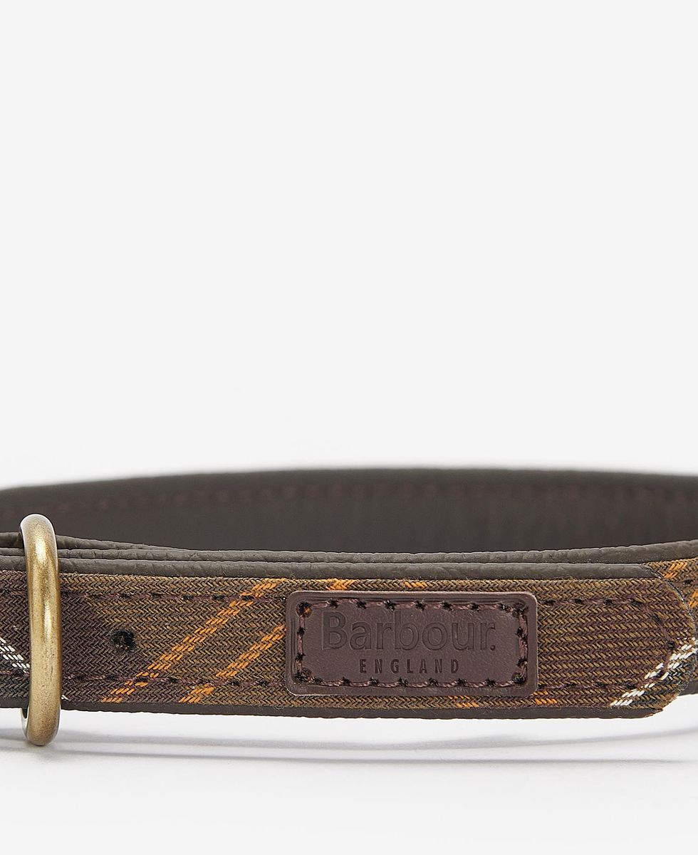 Tartan Dog Collar Tartan Dog Collar