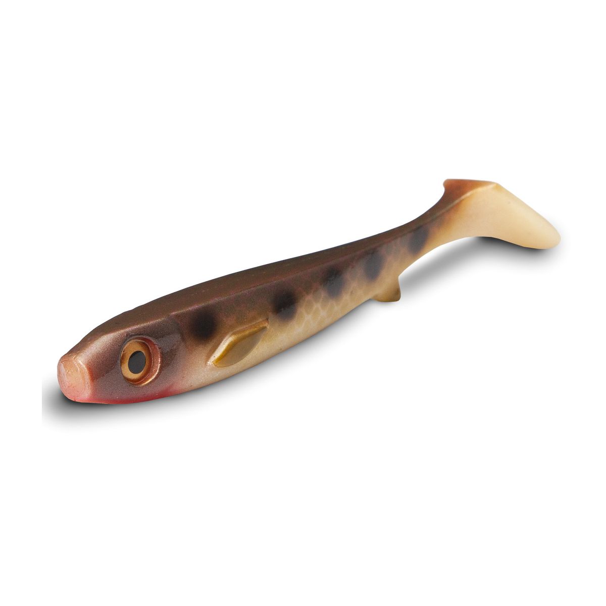 Flatnose Shad 19cm