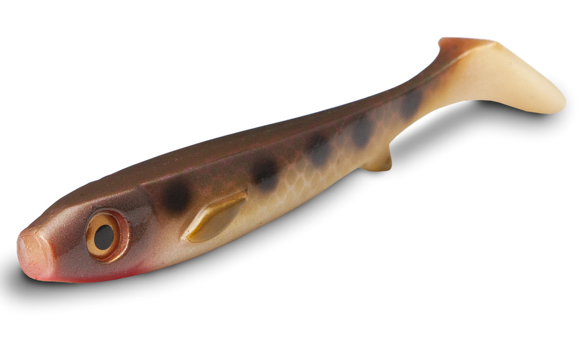 Flatnose Shad 19cm Flatnose Shad 19cm