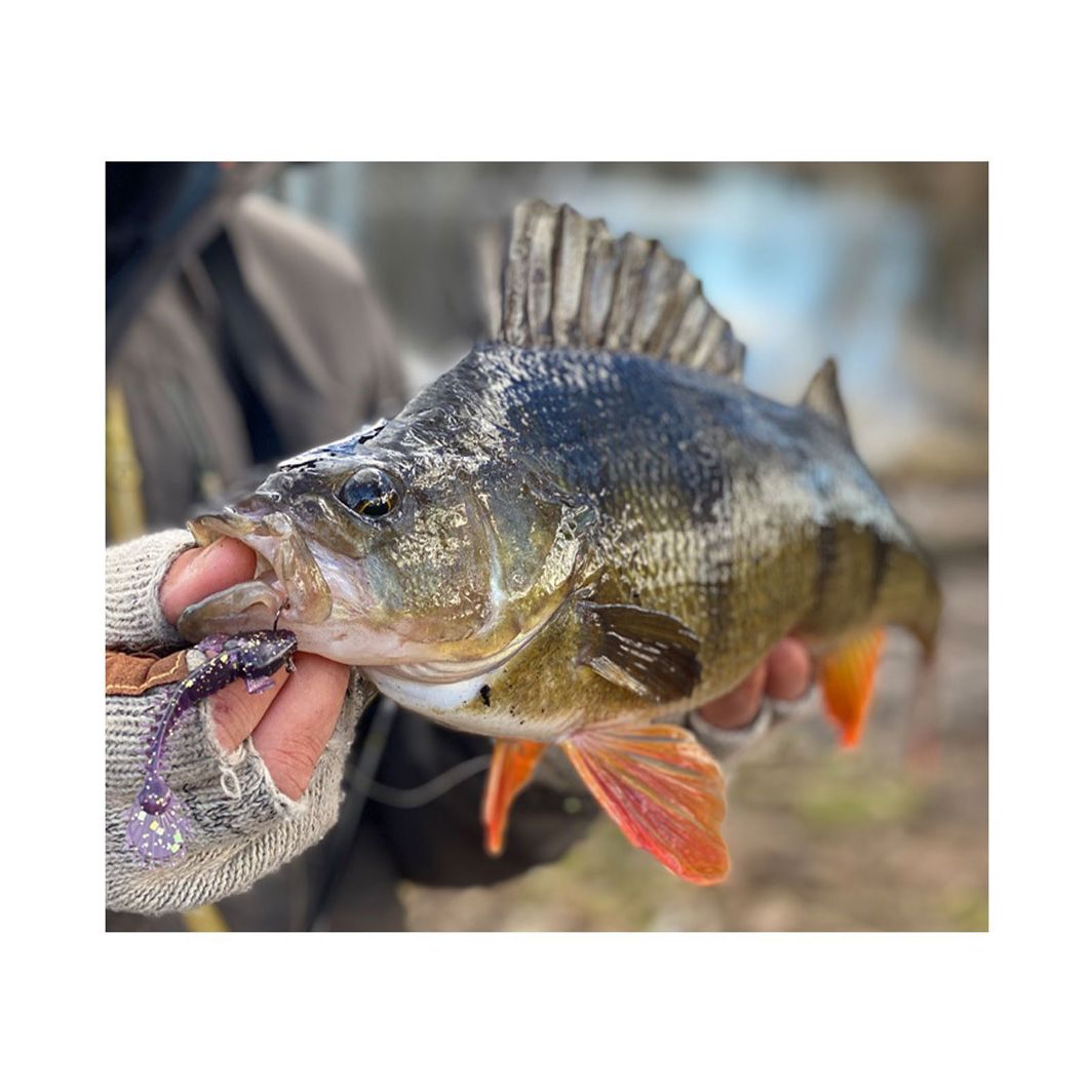 Monkey Fry 7cm 16-pack