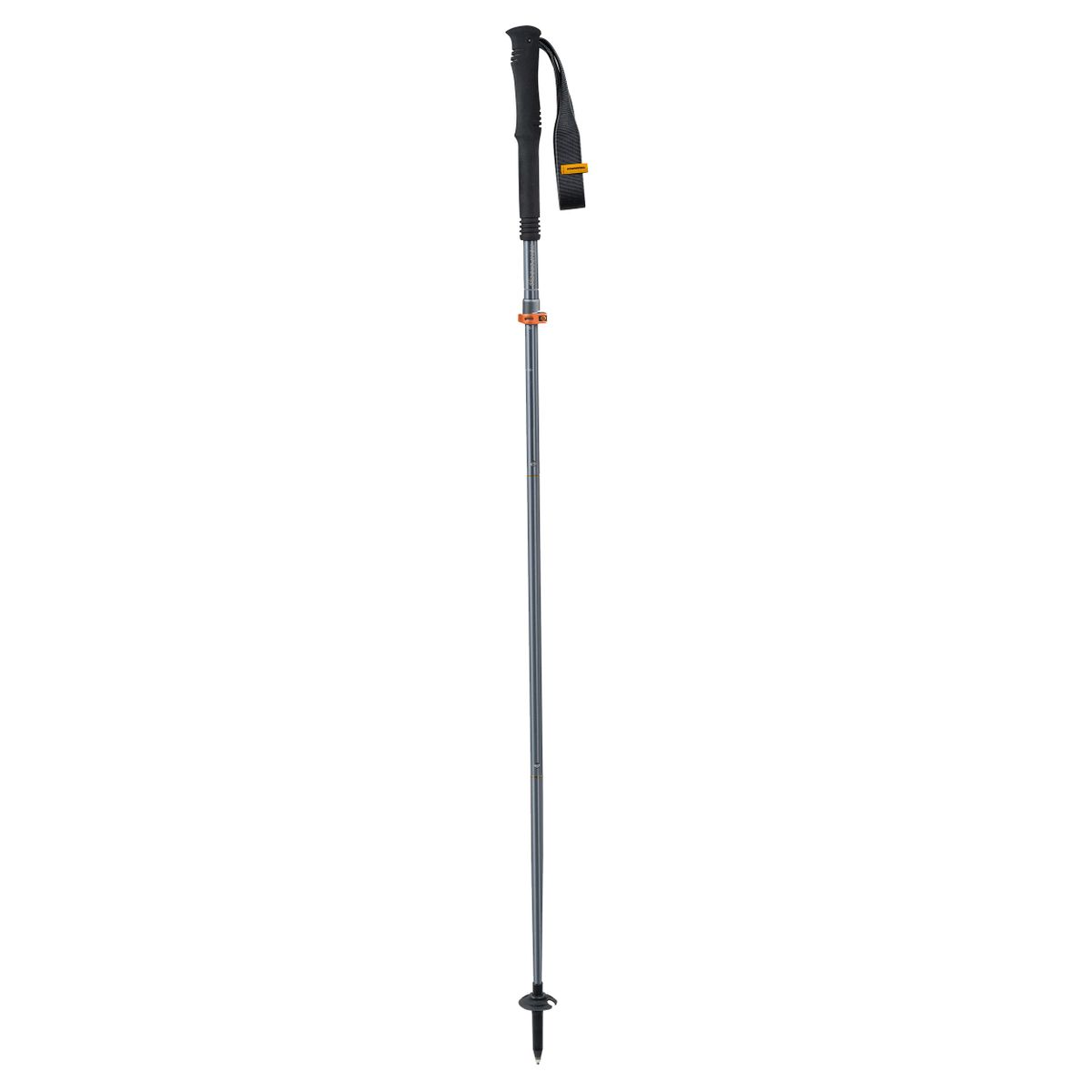 FX Lite TI Vario
