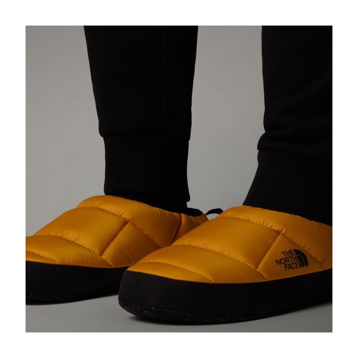 Tent Mules NSE IV Tent Mules NSE IV