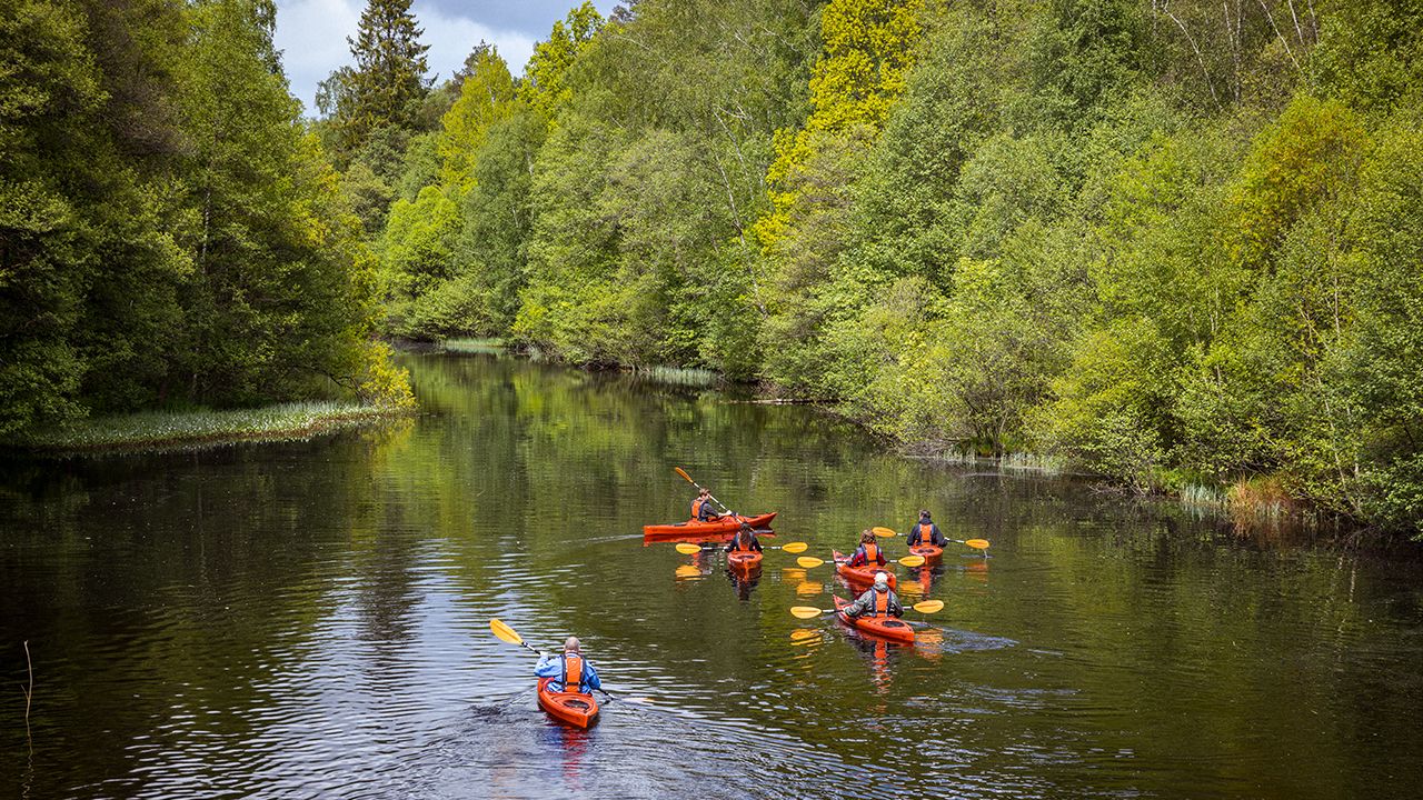 Frukostpaddling i Viskan