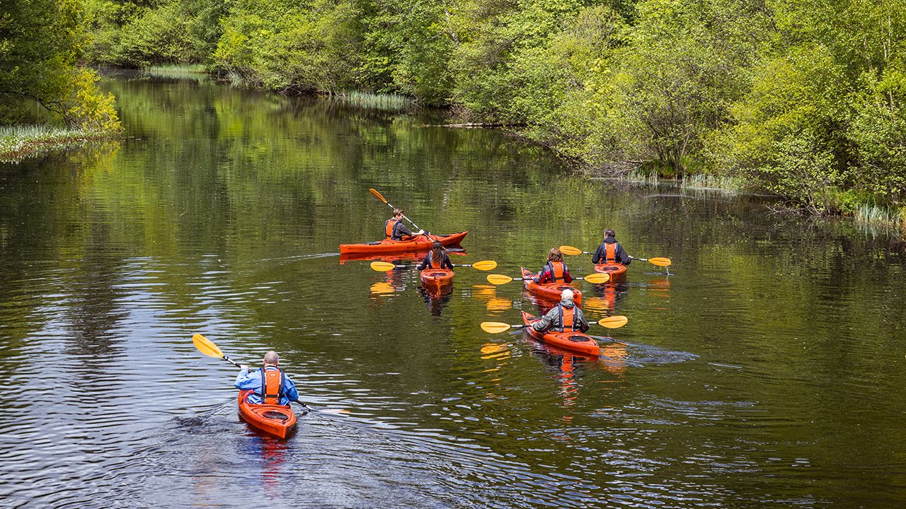 Frukostpaddling i Viskan