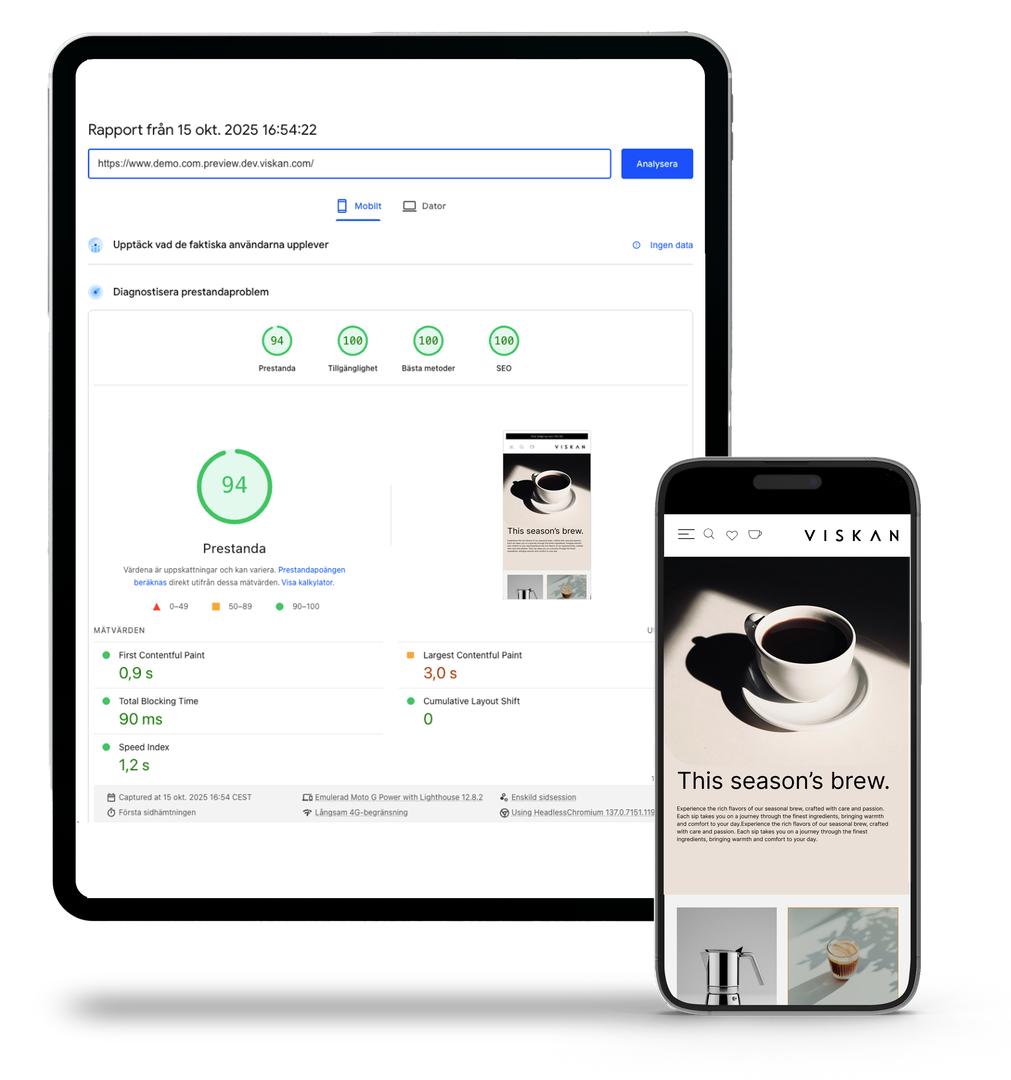 Pagespeed Viskan Next Generation