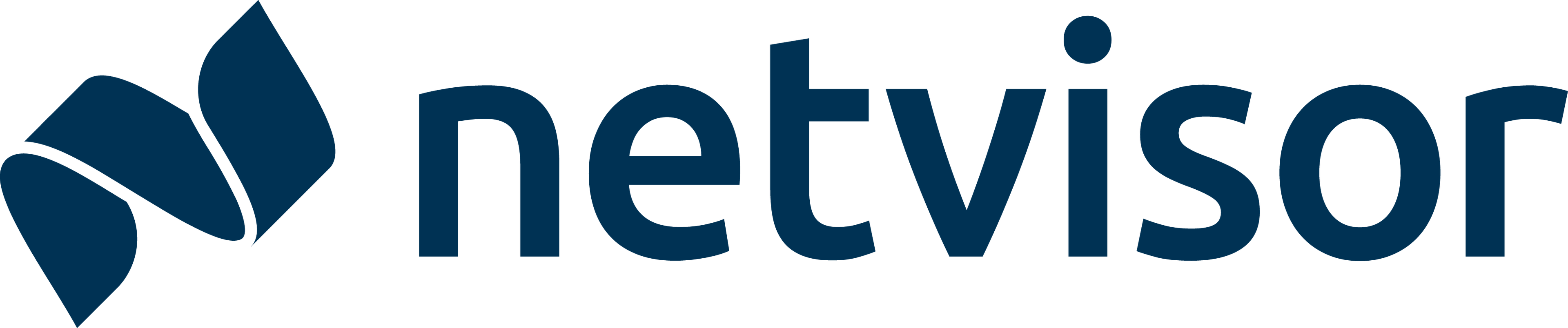 Netvisor logo